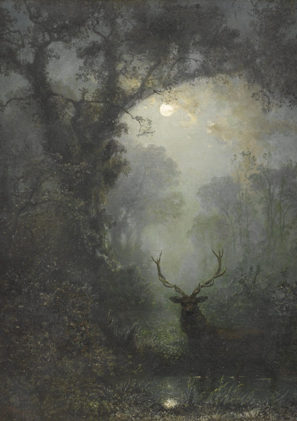 Deer in the Forest by Eugen Krüger. A misty moonlit forest of old oaks, with the moon glowing through the leaves and a stag with tall antlers standing in a clearing beside a small pool.