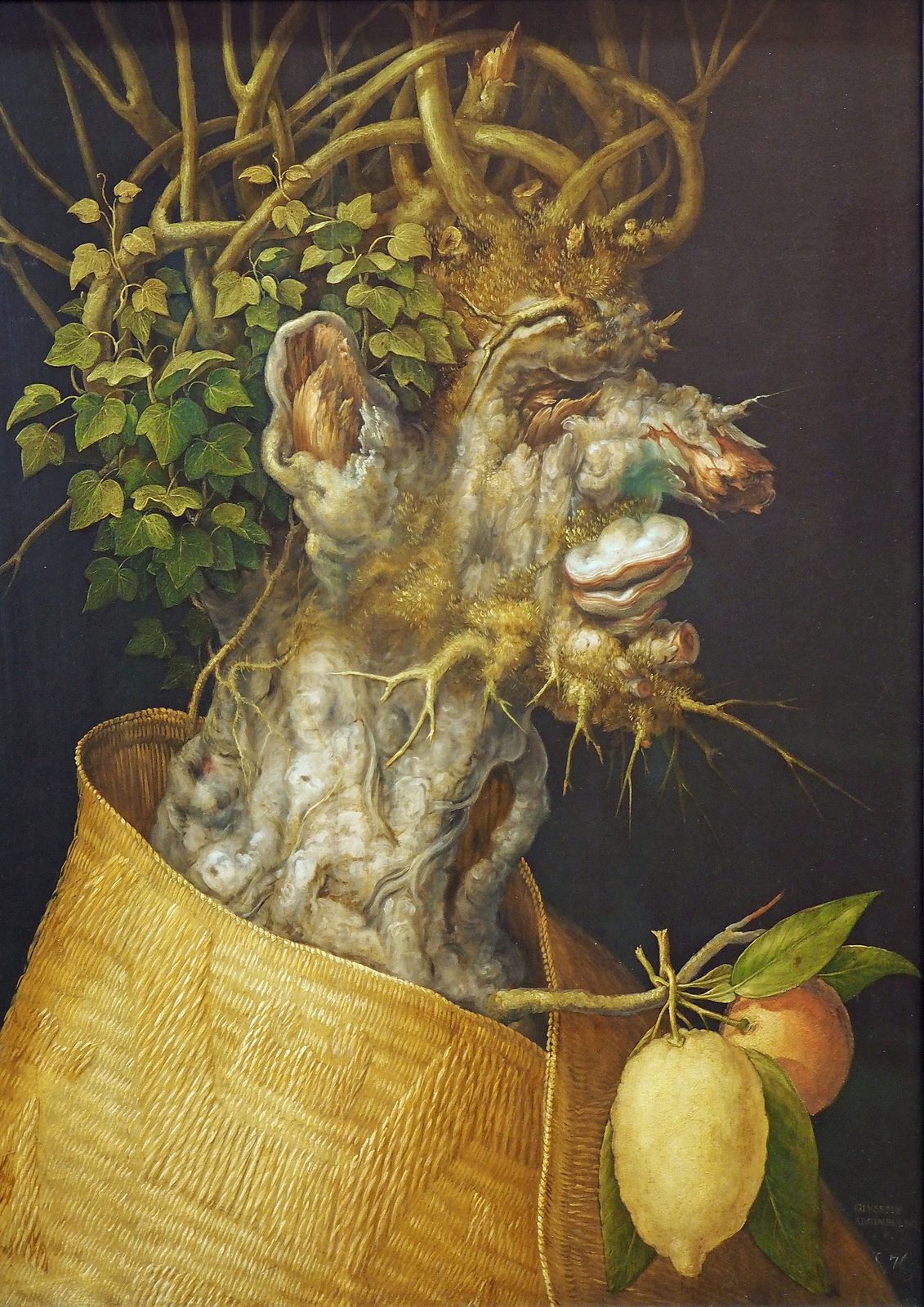 Winter by Giuseppe Arcimboldo, 1563. A head in profile made from a gnarled tree stump with fungus for lips, twigs and ivy for hair and a woven straw cloak hung with a lemon and an orange, against a dark background.